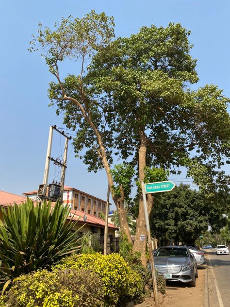 Greenery in the federal capital territory! Nigerian Aesthetic, Nigeria Aesthetic, Nigeria Vacation, Hospital Admit, Nigeria Travel, Catching Flights, Street Background, Abuja Nigeria, Hospital Admit Hand Pics