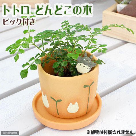 Japan Ghibli, Ghibli Totoro, Miyazaki Hayao, Ghibli Movies, Pot Designs, Hayao Miyazaki, My Neighbor Totoro, Plant Holder, Miyazaki