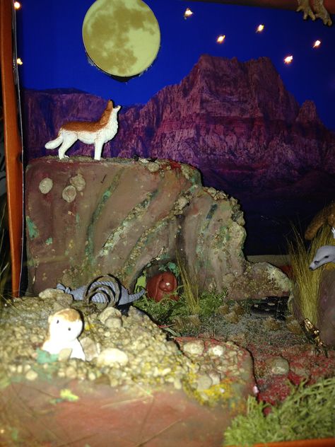 Shoebox Desert Diorama-  Wolf howling at the moon! 3rd grade school project Wolf Diaroma, Wolf Habitat Diorama, Diorama Book Report, Wolf Diorama, Biome Diorama, Wolf Habitat, Diaroma Ideas, 3rd Grade Spelling Words, Habitat Diorama