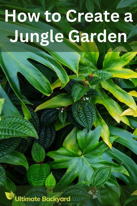 Transform your backyard into a tropical haven with this comprehensive guide on jungle gardening. Learn how to choose the right plants, design an effective garden layout, and incorporate water features for added tranquility. The article also covers essential maintenance tips to ensure your jungle garden remains vibrant and healthy. Perfect for gardening enthusiasts looking to create a lush retreat. Jungle Garden Design, Jungle Garden Ideas, Tropical Entrance, Backyard Seating Ideas, Decorative Solar Garden Lights, Backyard Garden Design Ideas, Garden Decorations Outdoor, Decorative Garden Fence, Tropical Garden Plants