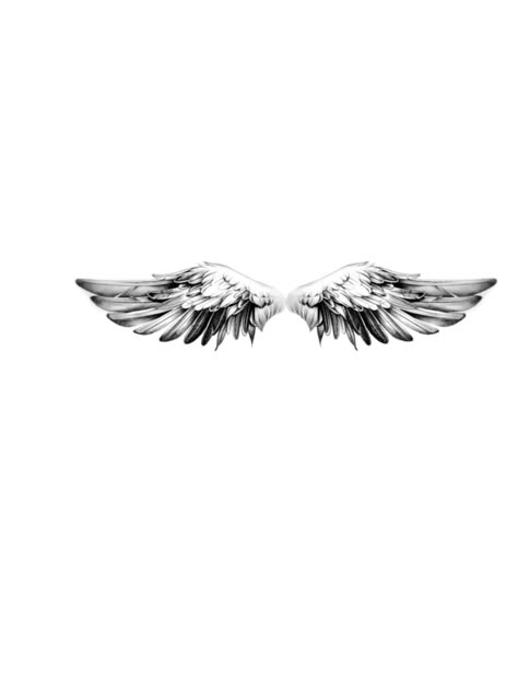 Angel Wings Men Tattoo, Small Angel Wing Tattoo Men, Cross And Angel Wings Tattoo, One Wing Tattoo, Angel Wings Tattoo Man, Bird Wings Tattoo, Wing Reference, Alien Angel, Angel Wings Tattoo On Back