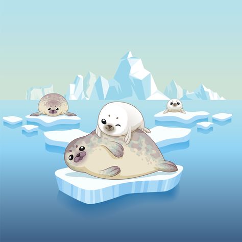 Character Design Vector, Seal Cartoon, Crab Illustration, Penguins And Polar Bears, Cute Seals, Pole Nord, Baby Seal, Graph Design, Family Cartoon