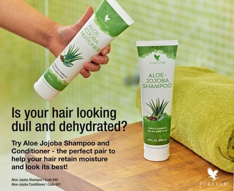 Forever’s Aloe-Jojoba Shampoo and Conditioner are perfect for everyday use if you want to leave your hair feeling soft and manageable! #aloehaircare Jojoba Shampoo, Fresh Aloe Vera Gel, Aloe Vera Benefits, Aloe Vera Skin Care, Fresh Aloe Vera, Forever Products, Forever Aloe, Pure Aloe Vera, Aloe Gel