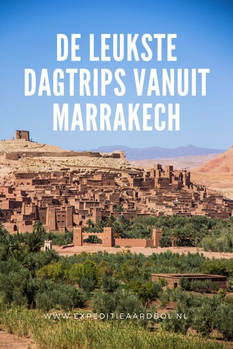 Maak je een stedentrip naar Marrakech en wil je ook wat van de omgeving zien? Bekijk hier een overzicht van de 5 leukste dagtrips vanuit Marrakech, Marokko. #reizen #reistips #Marokko Africa Travel, Special Places, Marrakech, Morocco, Travel Inspiration, City Photo, Travel Tips, Places To Visit, Van