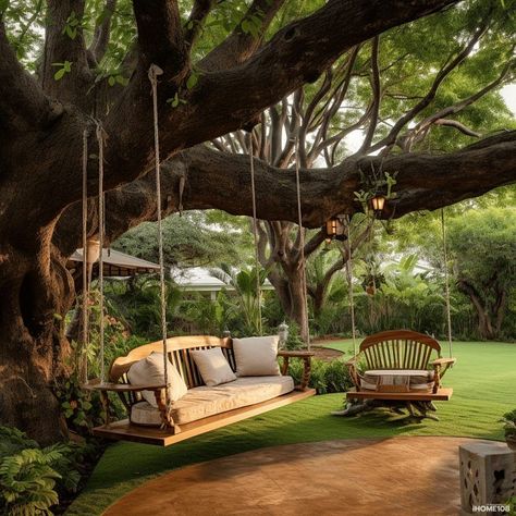 Tree In Backyard, Dream Life House, Countryside House, Swing Chair, Dream House Rooms, Big Tree, Outdoor Diy, Design Your Dream House, Dream House Interior