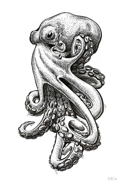 Paper Octopus, Drawing Octopus, Octopus Drawing, Octopus Tattoo Design, Octopus Tattoos, Octopus Tattoo, Octopus Art, Drawing On Paper, Animal Drawing