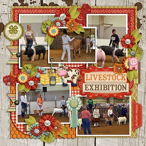 Digi Fair County Fair Scrapbook Layouts, 4h Scrapbook Ideas, Ffa Scrapbook Ideas Layout, Goat Stalls, Ffa Scrapbook Ideas, Ffa Scrapbook, County Fair Projects, Showing Pigs, 4 H Clover