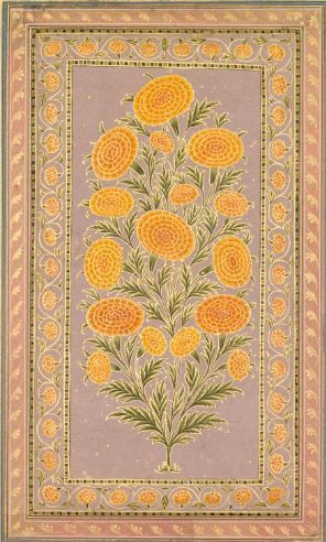 Potatoes Tomatoes, Marigold Flower, Cleveland Museum Of Art, Art Corner, Art Organization, Flower Garlands, Indian Art, Art History, South America