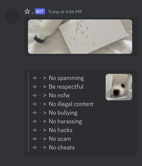 Discord Rules Ideas, Discord Rules, Discord Server Role Ideas, Discord Server Roles Ideas, Discord Channels, Extremely Funny Jokes, Silly Pictures, Discord Server, Texts