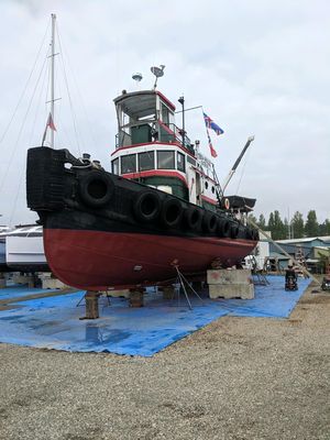 1926 Used San Diego Marine 79 Tug Boat For Sale - $14,950 - Orcas, WA | Moreboats.com Liveaboard Boats For Sale, Tug Boats For Sale, Us Navy Flag, Pilothouse Boat, Liveaboard Boats, Navy Flag, Caterpillar Engines, Boat Pictures, Boat For Sale