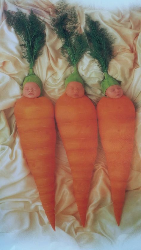 Carrot Baby Carrot Baby, Baby Carrot Art, Carrot Top Comedian, Clever Carrot, Rabbit Eating Carrot, Carrot Memes Funny, Internet Funny, Carrots