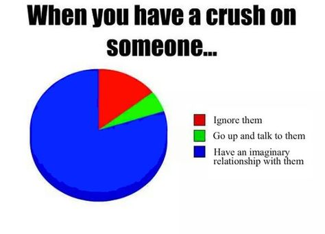 When you have crush on someone..  Have an  IMAGINARY  RELATIONSHIP  with  Her/Him. Lol Funny Pie Charts, Crush On Someone, Funny Crush Memes, Funny Charts, Crush Humor, Crushing On Someone, Crush Memes, A Crush, Funny Love