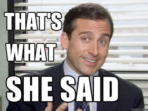 Thats What She Said, Michael Scott The Office, What Meme, Special Needs Teacher, Office Memes, Michael Scott, Science Fiction Tv, She Said, Movie Characters