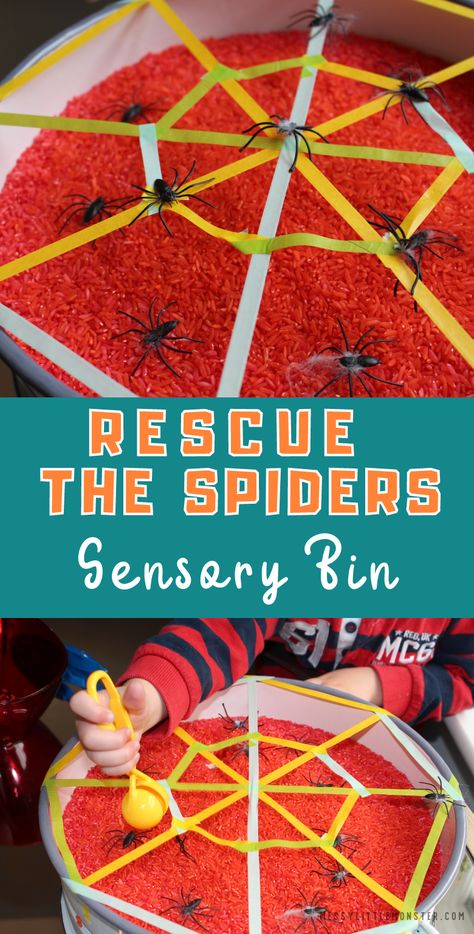 Bats And Spiders Sensory Bin, Halloween Sensory Table Preschool, Preschool Spider Theme, Preschool Spider Crafts, Spider Activities For Toddlers, Spider Activities For Kids, Spider Preschool Activities, Spider Crafts For Toddlers, Spider Sensory Bin