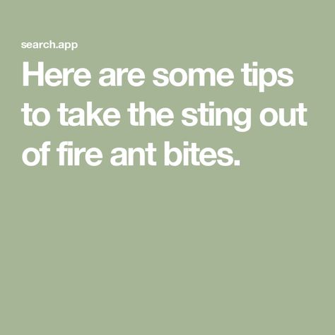 Here are some tips to take the sting out of fire ant bites. Fire Ant Bites Relief, Ant Bites Relief, Ant Remedies, Fire Ant Bites, Get Rid Of Spots, Ant Bites, Bite Relief, Fire Ant, Ant Hill