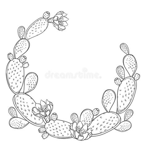 Vector round frame of outline Indian fig Opuntia or prickly pear cactus, flower and spiny stem in black isolated on white. vector illustration Prickly Pear Cactus Flower, Cactus Tattoo, Cactus Drawing, Leather Tooling Patterns, Tooling Patterns, Pear Cactus, Prickly Pear Cactus, Prickly Pear, Cactus Flower