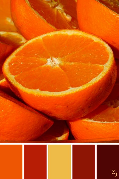 ZJ Colour Palette 114 #colourpalette #colourinspiration Hot Color Palette, Hot Colors, Yellow Colour Scheme, Color Palette Design, Color Harmony, Color Balance, Beautiful Color Combinations, Perfect Palette, Colour Board