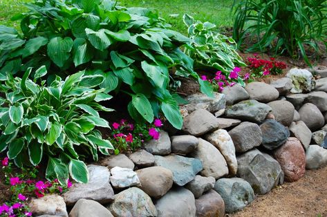 Stone Garden Wall, Rock Wall Landscape, Diy Stone Wall, Rock Wall Gardens, Building A Stone Wall, Xeriscape Front Yard, Rock Retaining Wall, Low Water Landscaping, Stone Walls Garden