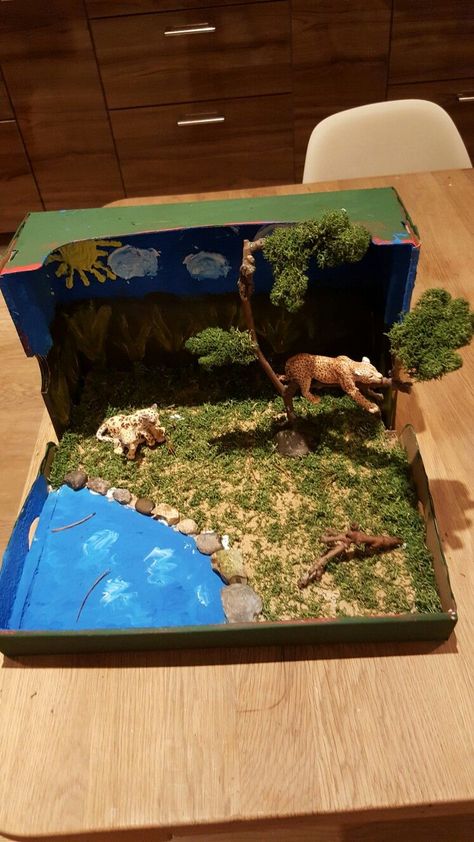 Desert Biome Box Biomes Project, Rainforest Project, Tiger Habitat, Diorama Kids, Bear Habitat, Grassland Habitat, Desert Biome, Elf Ideas Easy, Habitats Projects