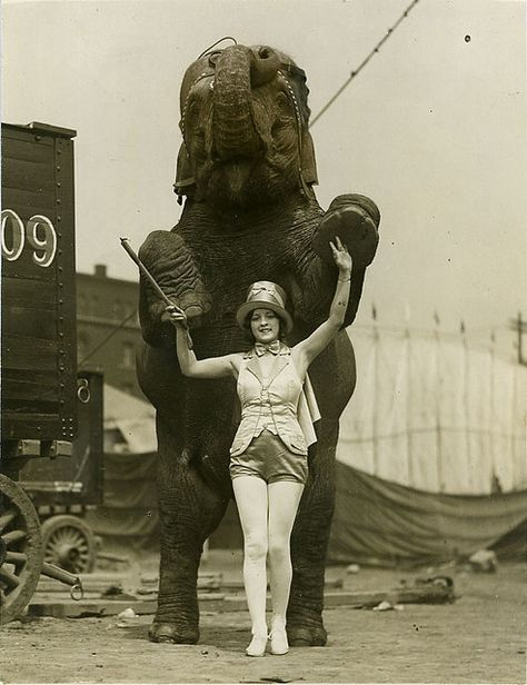 Vintage Circus Photos, Cirque Vintage, Circus Vintage, Old Circus, Water For Elephants, Circus Circus, Circus Elephant, Circus Performers, Night Circus