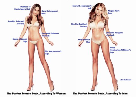 http://time.com/65901/how-men-and-women-differ-when-drawing-up-the-perfect-body/?iid=obinsite Kelly Brooks, Corp Perfect, Celebrity Bodies, Men Vs Women, Robert Kardashian, Fox Face, Michelle Keegan, Slim Hips, Elle Macpherson