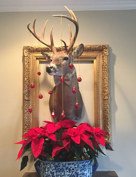 Christmas deer head with gold frame, bow tie, ornaments, poinsettias, and blue and white planter Gold Stag Head On Wall, Deer Trophy Wall Display Ideas, Framed Deer Head, How To Decorate Deer Mounts For Christmas, Deer Shoulder Mount Ideas, Christmas Taxidermy, Mounted Deer Head Decor, Decorating With Deer Mounts, Tie Ornaments