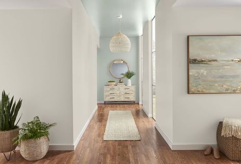 Color Drenching, Scandinavian Color Palette, Entryway Colors, Scandinavian Colors, Hallway Paint Colors, Best Blue Paint Colors, Ceiling Paint Colors, Hallway Paint, Warm Paint Colors