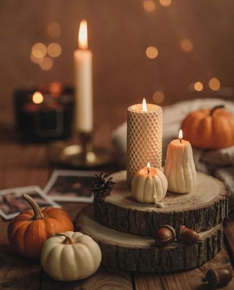 Falloween Love on Instagram: "🧡🍂🍁🎃🍁🍂🧡 📸 @olga.nikolaaenko #fall #pumpkins #fallleaves #ilovepumpkins #cozytime #cozy #cozyvibes #fallvibes #autumnleaves #autumn #autumnvibes #ilovefall #iloveautumn #fallcolors #cozyfall #cozyautumn #autumnaesthetic #fallaesthetic #autumnmood #fallmood #autumntime #falltime #autumnobsessed #falloweenlove #falloween #fallobsessed #autumndays" Table Decor Halloween, Fall Coffee Table Decor, Coffee Table Ideas, Fall Coffee Table, Halloween Cards Handmade, Coffee Table Decor, Autumn Table, Fall Coffee, Table Ideas