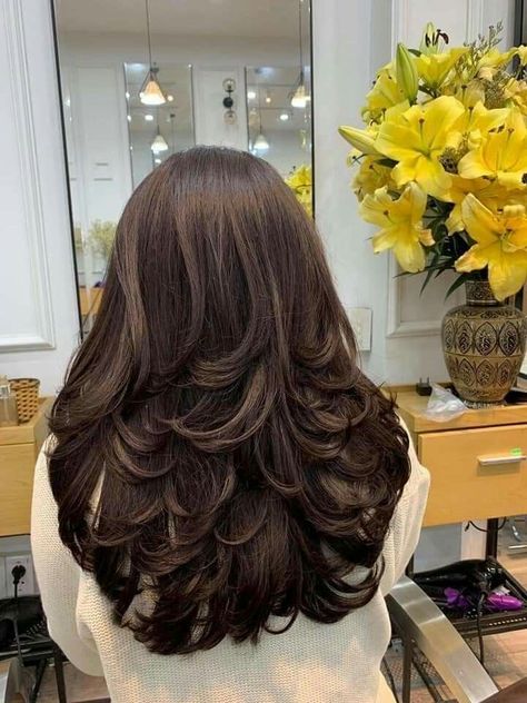 Butterfly Layers Haircut, Butterfly Layers, Layers Haircut, Haircuts For Long Hair With Layers, Long Shiny Hair, Haircuts For Medium Length Hair, Layered Haircuts For Medium Hair, Hairstyles For Layered Hair, Trendy Hairstyle