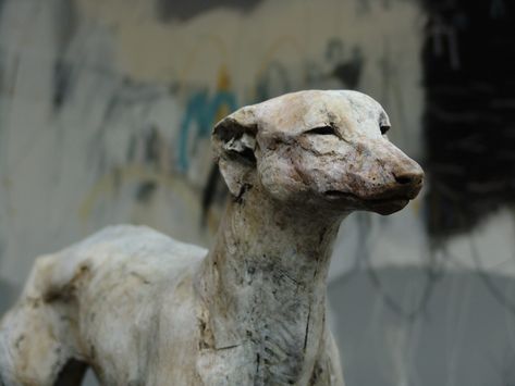 In Spellbindingly Sensitive Sculptures by Nichola Theakston, Serene Animals Reflect and Dream | Colossal Greyhound Art, Colossal Art, Animal World, Keramik Design, 3d Studio, Visual Culture, Dog Sculpture, Clay Animals, Dog Statue