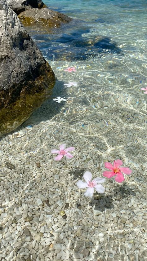 Beach Waves Wallpaper Aesthetic, Summer Dream Wallpaper, Beachy Summer Wallpaper, Flowers On Water Aesthetic, Cartoon Beach Aesthetic, Tropical Ocean Aesthetic, Beach Flowers Aesthetic, Beach Vibes Aesthetic Wallpaper, Beach Aesthetic Wallpaper Iphone