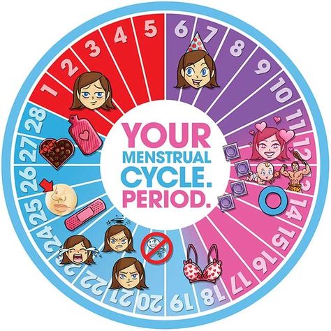 Map Your Menstrual Cycle Day-by-Day - Steven and Chris Menstrual Cycle Chart, Cycle Period, Menstrual Cramp Relief, Fertility Awareness, Period Hacks, Menstrual Health, Roller Coaster Ride, Menstrual Cramps, Hormonal Changes