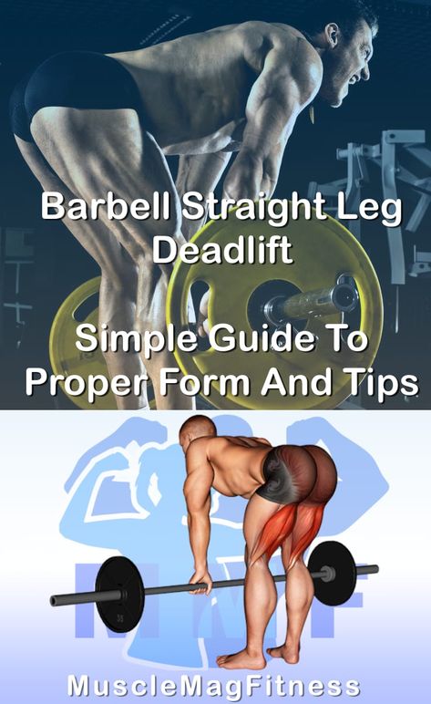 Barbell Straight Leg Deadlift frankly is a well-known movement to stimulate the growth of your Glutes. Are you looking to use excellent form and get bigger Glutes efficiently? You'll want to read our post to commence straight away. #musclemagfitness Bigger Glutes, Hamstrings And Glutes, Straight Leg Deadlift, Weight Training Programs, Barbell Set, Weight Training, How To Make Notes, Fitness Workout, Build Muscle