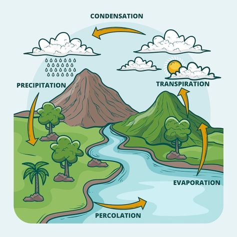 Cycle Of Water Project, Water Cycle In Hindi, Water Cycle Picture, Water Cycle Diagram Drawing, Hydrological Cycle Diagram, Water Cycle Poster Ideas, Water Cycle Poster Project For Kids, The Water Cycle For Kids, Water Cycle Drawing Art Projects