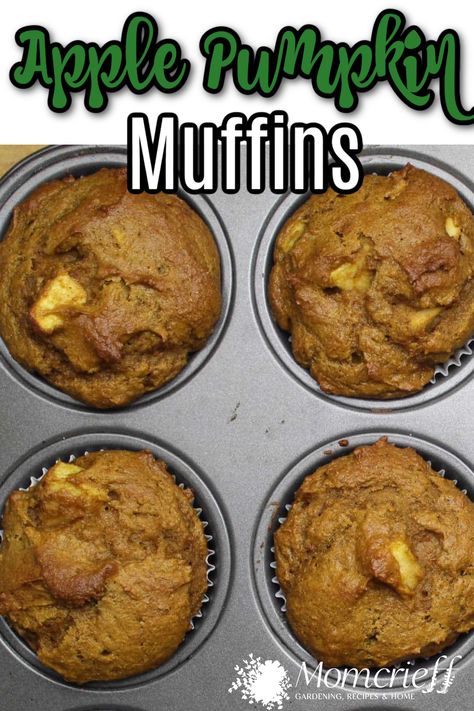 Pumpkin and apple are two traditional fall flavors. These muffins put them both together and then we add a little pumpkin spice. What better way to celebrate the season than with a batch of delicious pumpkin apple muffins? These muffins are moist, fluffy, and packed with flavor. This is a homemade recipe that is easy to make with simple ingredients. Easy Baked Desserts, Apple Pumpkin Muffins, Pumpkin Mini Muffins, Pumpkin Blueberry Muffins, Pumpkin Apple Muffins, Mini Pumpkin Muffins, Cake Mix Hacks, Pumpkin Pie Spice Recipe, Pie Spice Recipe