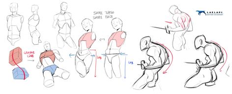 Tb Choi Tutorial, Torso Twist Reference, Tb Choi Anatomy, Bodies Tutorial, Torso Drawing, Cartoon Anatomy, Drawing Bodies, Tb Choi, Art Bases