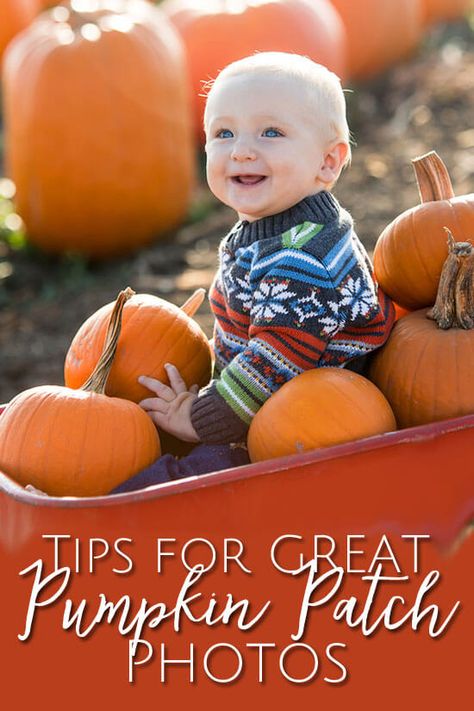 All the tips you need to take great pumpkin patch photos. Family Photo Pumpkin Patch, 100 Foods Before One Photoshoot, Mom And Son Pumpkin Patch Pictures, Toddler Pumpkin Patch Photos, Infant Pumpkin Patch Pictures, Pumpkin Patch Pictures Baby, Baby Pumpkin Patch Pictures, Pumpkin Patch With Friends, Pumpkin Patch Family Photos