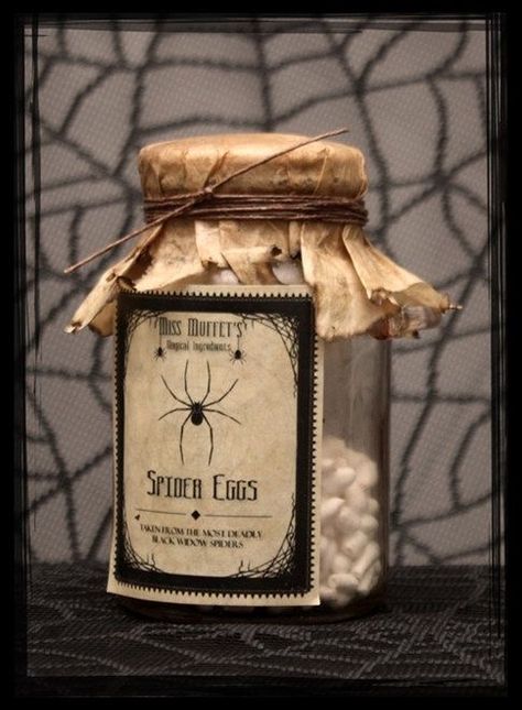 Witch Potions Diy, Witches Apothecary Halloween, Witch Diy Decoration, Witches Apothecary, Halloween Apothecary Jars, Spider Eggs, Witch Bottle, Dekorasi Halloween, Halloween Jars