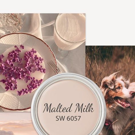 Sherwin-Williams on Instagram: "Our April Color of the Month reminds us to embrace a cottagecore lifestyle no matter where we live. Save this post for future color inspiration brought to you by Malted Milk SW 6057." Rose Paint Color, Pastel Paint Colors, Cottagecore Lifestyle, Milk Paint Colors, Color Of The Month, Milk Color, Busy Boards For Toddlers, Paint Color Inspiration, Malted Milk