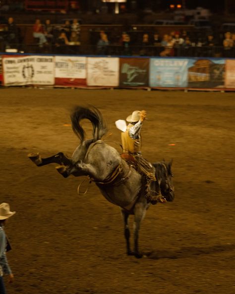 A glimpse into cowboy tradition, rodeo in Cody, filled with countless little stories through the dust and the grit. A glimpse of Wyoming’s wild soul. #wyoming #gtnp #yellowstone #mountains #summeroutwest #rodeo #codyrodeo #codywyoming #rodeousa #usarodeo #cody #lifeoutwest Ride Or Die Aesthetic, Wyoming Aesthetic, Dear Rodeo, Rodeo Aesthetic, Wyoming Ranch, Head Over Boots, Rodeo Clown, Chestnut Springs Series, Edward Sharpe