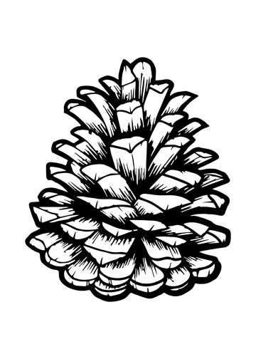 Pinecone Line Drawing, Easy Pinecone Drawing, Pine Cone Tattoo One Line, Pinecone Coloring Page, Pinecone Drawing, Pinecone Tattoo, Pine Cone Drawing, Pine Tattoo, Wood Burning Patterns Stencil