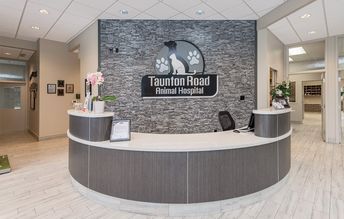 Taunton Road Hospital - Artistree Construction Vet Clinic Sign Ideas, Vet Hospital Ideas Interior Design, Vet Lobby Ideas, Veterinary Reception Area, Animal Hospital Design, Veterinary Clinic Design, Vet Clinic Design, Veterinary Clinic Ideas, Veterinary Hospital Design