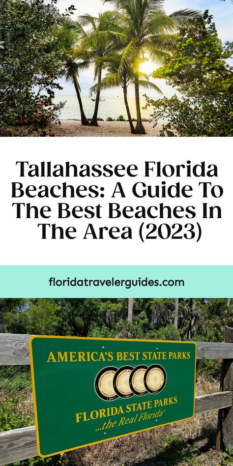 Tallahassee Florida Beaches: A Guide To The Best Beaches In The Area (2023) Area 2023, Vacation In Florida, Northern Florida, Tallahassee Florida, Vacation Tips, South Beach Miami, Deep South, Family Friendly Activities, Best Beaches