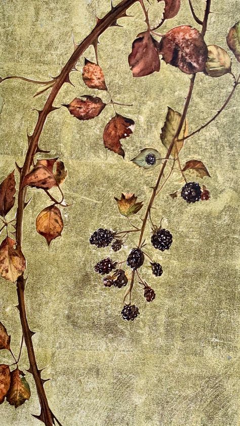 Bramble Bush Illustration, Bramble Aesthetic, Bramble Illustration, Whimsigoth Nostalgia, Castle Paintings, Robert Macfarlane, Jackie Morris, Blackberry Bramble, Creek House