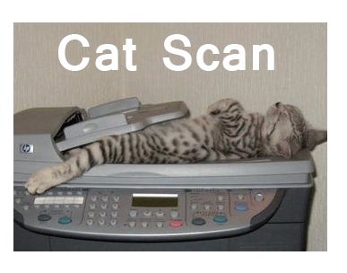 now that's a cat scan! Humor Animal, Medical Memes, Cat Scan, Image Chat, Medical Humor, Cat Sleeping, Cat Nap, Crazy Cat Lady, 귀여운 동물