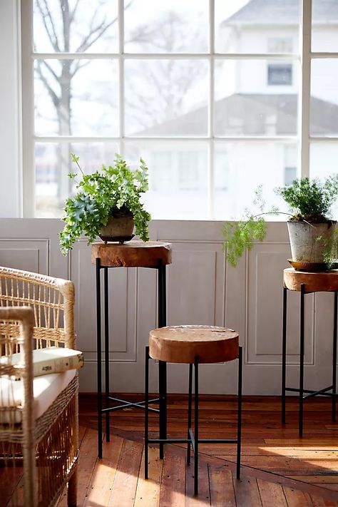 Teak Top + Iron Base Plant Stand | Anthropologie Outdoor Plant Stand, Iron Plant Stand, Plant Stands Outdoor, Iron Plant, Plant Table, Outdoor Plant, Plant Stands, Tasting Room, Living Room Inspo