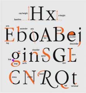 Typographie / The Anatomy of a Character Anatomy Of Typography, Type Anatomy, Poster Sport, Spatial Relationships, Alfabet Letters, 타이포그래피 포스터 디자인, Typeface Design, Calligraphy Letters, Custom Fonts