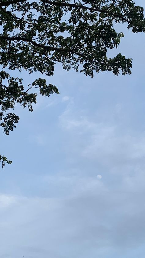 Moon In Evening Sky, Moon Evening Sky, Evening Clouds Sky, Sky Moon, Sky Photos, Evening Sky, Cool Instagram Pictures, Star Sky, Instagram Pictures