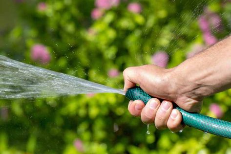 Looking for a garden hose that doesn’t kink, leak, or twist? We found 7 hoses that are up to any task, from light and flexible to heavy-duty workhorses. We even recommend a couple of top soaker and spray hoses to make watering more efficient. Read our buying guide on Gardener’s Path now. #gardenhose #irrigation #gardenerspath Get Rid Of Aphids, Plant House, Horse Feed, Water Aesthetic, Garden Hoses, Better Homes And Garden, Backyard Inspiration, The Weather Channel, Garden Items