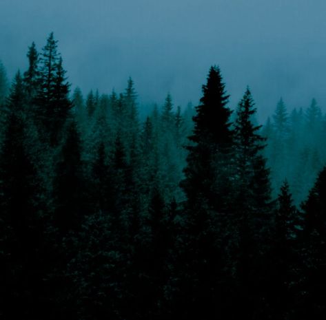 Teal Forest Aesthetic, Blue Werewolf Aesthetic, Twilight Phone Theme, Katelyn Core Aesthetic, Twilight Blue Aesthetic, Dark Green And Blue Aesthetic, Teal And Black Aesthetic, Twilight Core Aesthetic Wallpaper, Stygian Blue